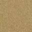 Picture of ProLine Golden