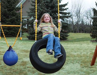 Picture of 2 Chain Tire Swing